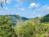 Enlarge photo 46