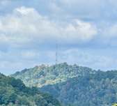 Enlarge photo 45