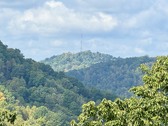 Enlarge photo 40