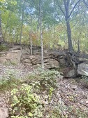 Enlarge photo 43