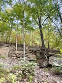Enlarge photo 41