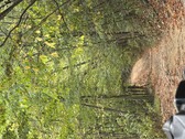 Enlarge photo 34