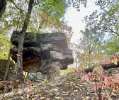 Enlarge photo 35