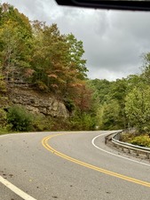 Enlarge photo 97