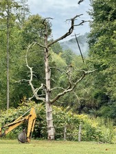 Enlarge photo 27