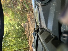 Enlarge photo 58