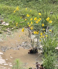 Enlarge photo 54