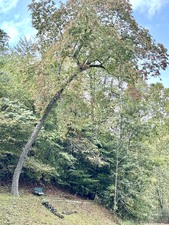 Enlarge photo 71