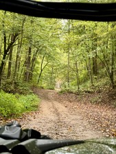 Enlarge photo 80