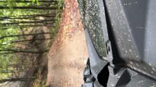Enlarge MOV 83