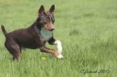 Enlarge photo 26