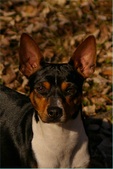 Enlarge photo 3