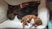 Enlarge photo 7