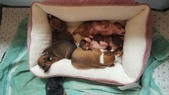 Enlarge photo 14