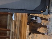 Enlarge photo 5