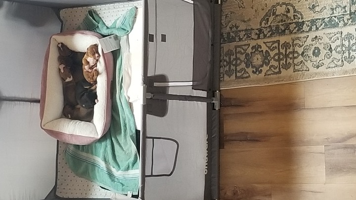 Return to Album