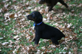Enlarge photo 3