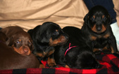 Enlarge photo 23