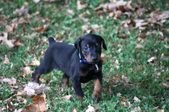 Enlarge photo 10