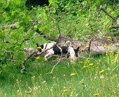 Enlarge photo 15