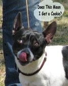 Enlarge photo 2
