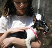 Kid's Doggy Days 2008