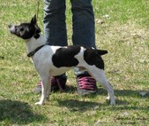 Enlarge photo 4