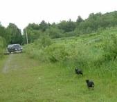 Enlarge photo 15