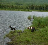 Enlarge photo 16
