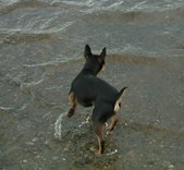 Enlarge photo 17