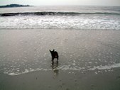 Enlarge photo 22
