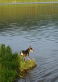 Enlarge photo 10