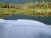 Summer Fun in VT