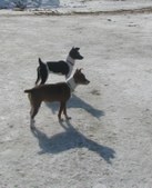 Enlarge photo 11