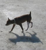 Enlarge photo 15