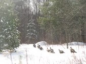 Enlarge photo 24