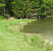 Enlarge photo 3