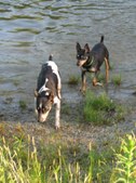 Enlarge photo 18