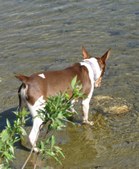 Enlarge photo 7