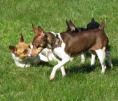 Enlarge photo 16
