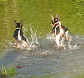 Enlarge photo 22