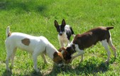 Enlarge photo 15