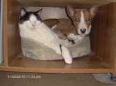 Enlarge photo 22