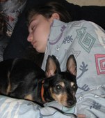 Enlarge photo 14