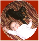 Enlarge photo 16