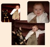 Enlarge photo 17