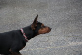Enlarge photo 16