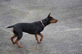 Enlarge photo 15