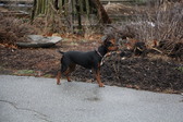 Enlarge photo 9