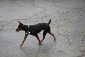 Enlarge photo 7